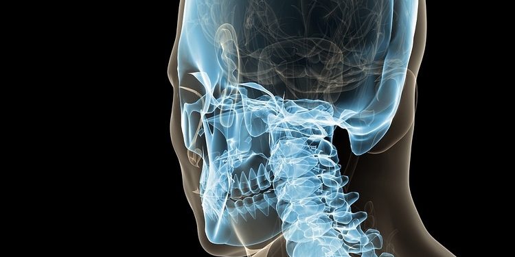Atlas der menschlichen Anatomie