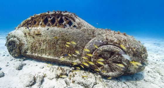 Street View Unterwasser-Aufnahmen online bewundern