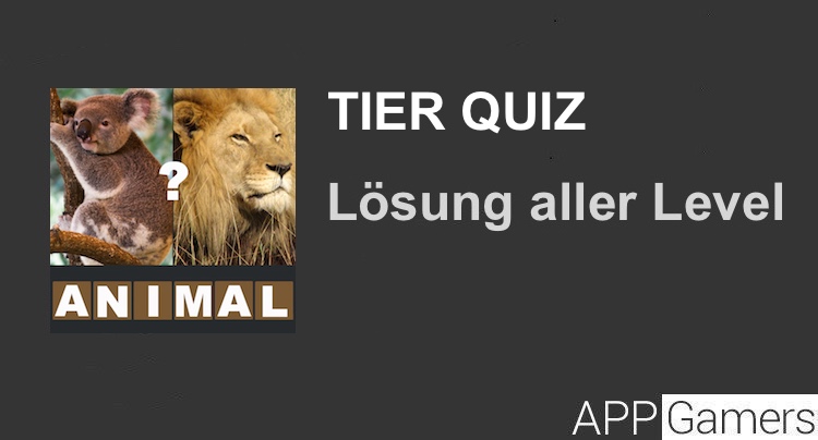 Tier Quiz Lösung