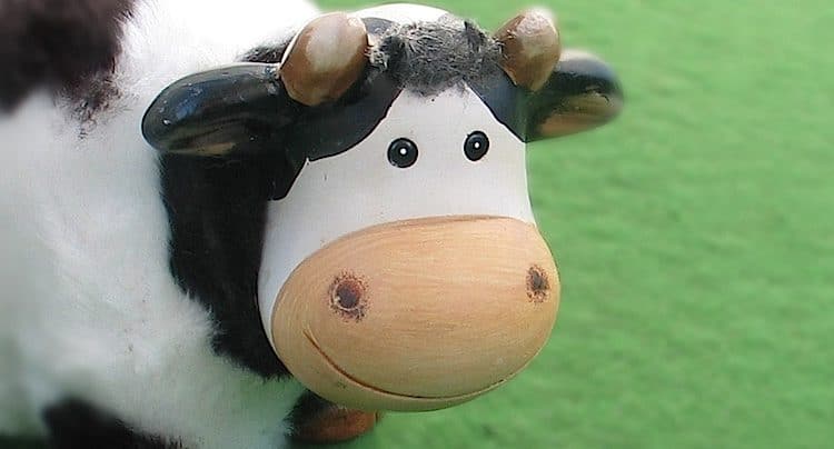 100 Pics Quiz Auf der Farm Lösung aller Level