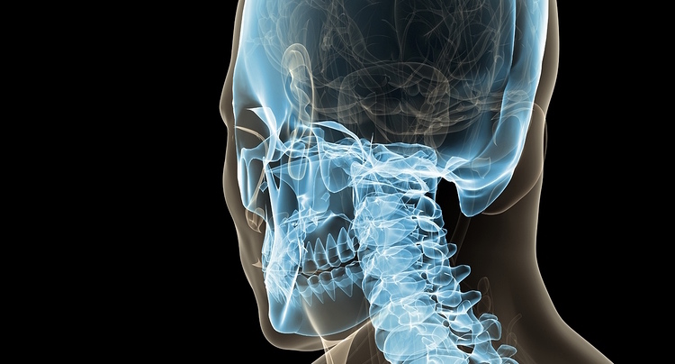 Atlas der menschlichen Anatomie