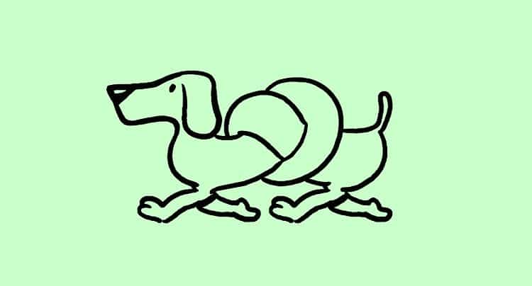Streichelzoo