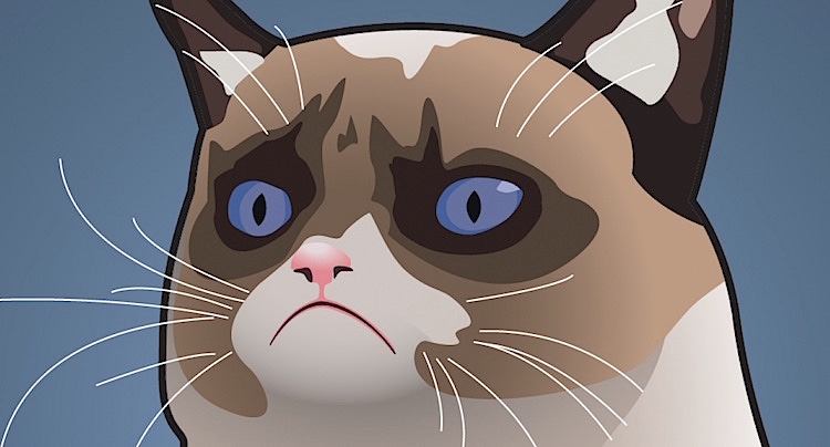 Grumpy Cat Cheats Hacks Tipps