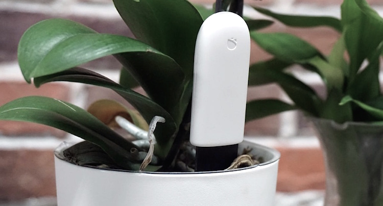 Xiaomi Flower Care Smart Sensor