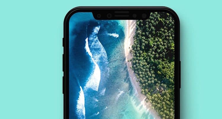 Apple iPhone X