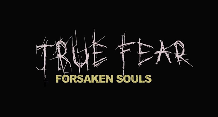 True Fear Verlorene Seelen Walkthrough Lösung Cheats Hacks