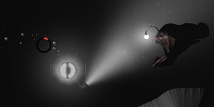 Dive Inside