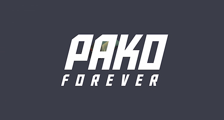 PAKO Forever Walkthrough Lösung Cheats Hacks