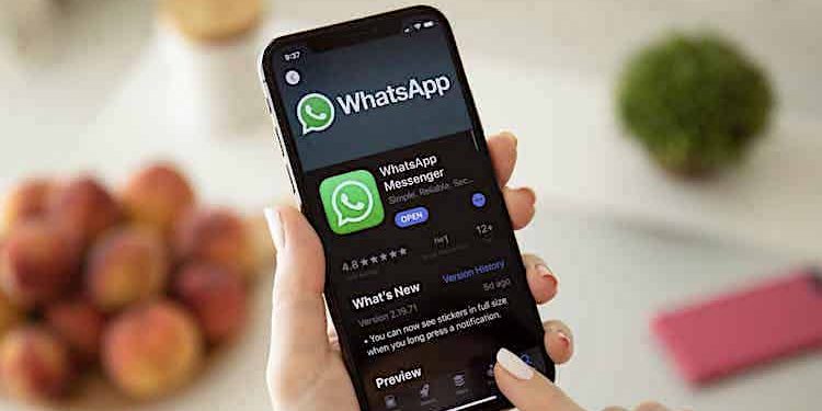 WhatsApp: Funktion ermöglicht Stummschalten von Chats