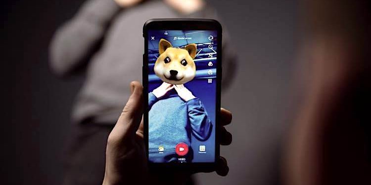 TikTok: Likes anzeigen, eigene gelikte Videos sehen