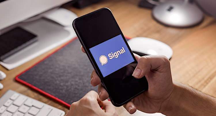 Signal: Messenger verbessert Mute-Optionen für Chats