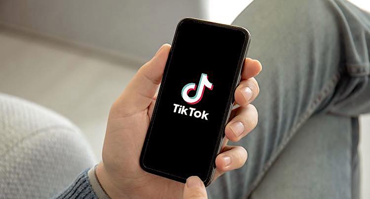 TikTok Vollbild aktivieren - so geht das!