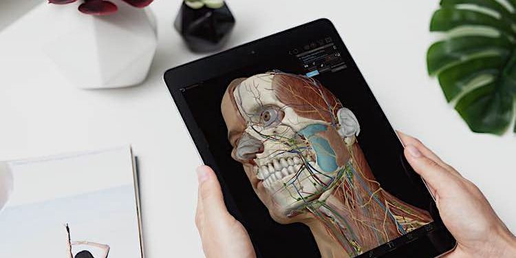 Angebot: Atlas der Humananatomie 2021 mit 24 Euro Rabatt laden