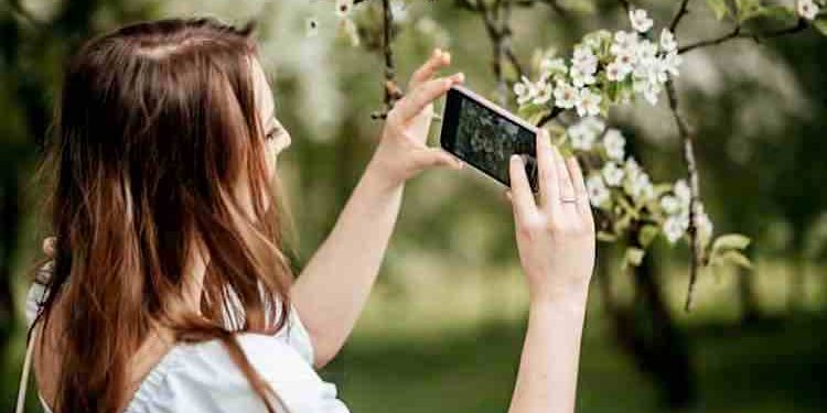 Ratgeber: Die besten Apps für Pflanzen- und Gartenfreunde