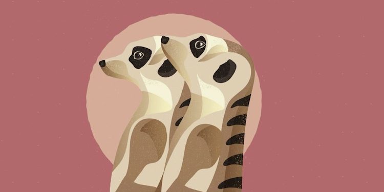 Fauna Weather: Wetter-App mit Retro-Design und Tieren