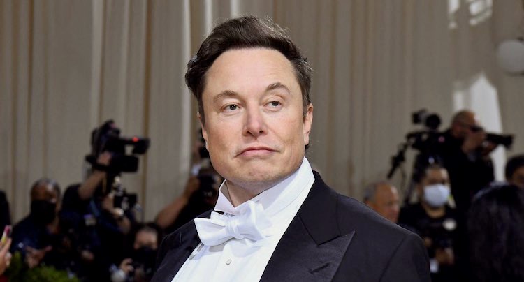 Twitter: Elon Musk will gesperrte Nutzer freischalten