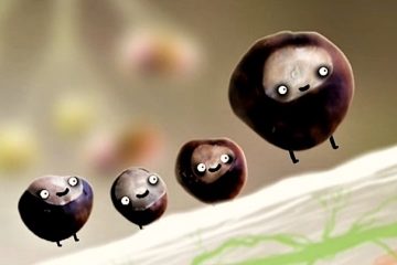 Botanicula: Spiele-Perle von Amanita Design als Deal