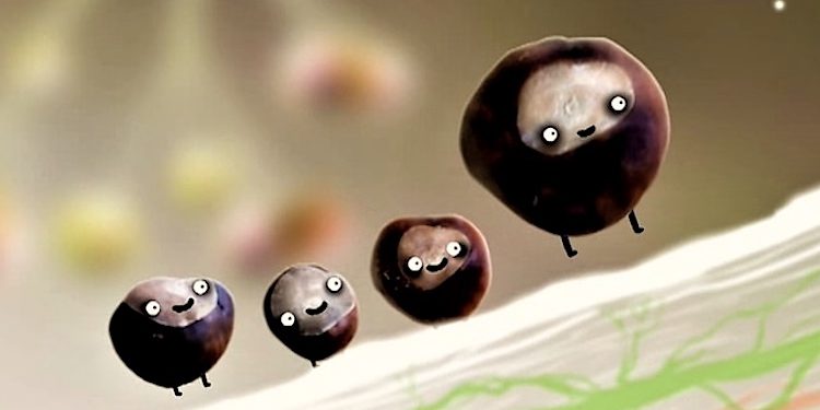 Botanicula: Spiele-Perle von Amanita Design als Deal