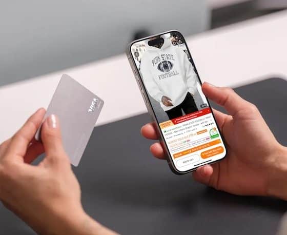 Temu: EU-Staaten wollen Abgabe auf Sendungen