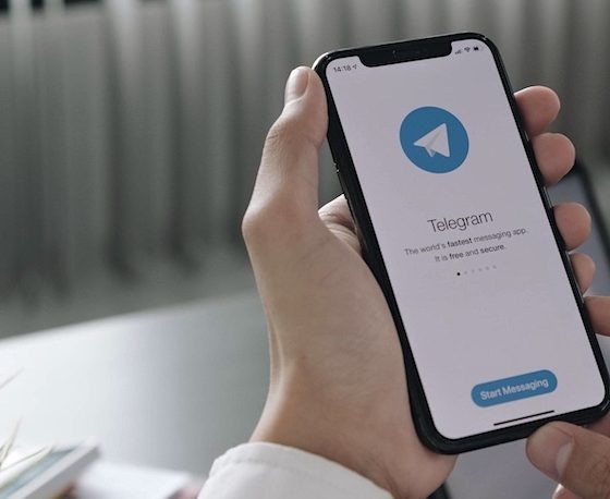 Telegram: Neues Update bringt Musik ins Profil