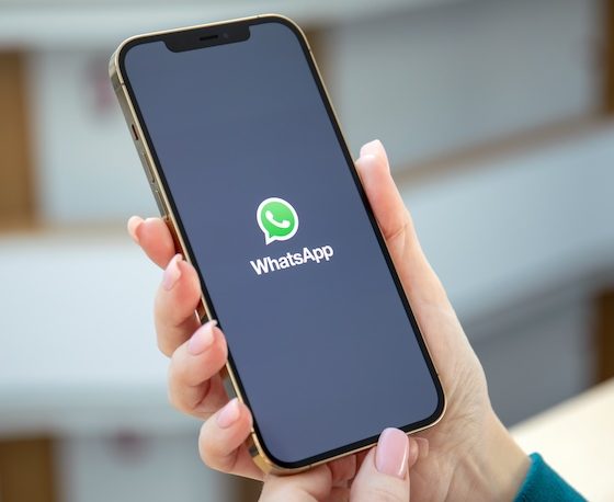 WhatsApp: Meta schmeißt KI-Chatbots raus