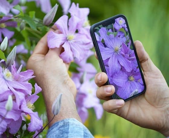 Gartenplanung per App bringt Vorteile für Hobbygärtner