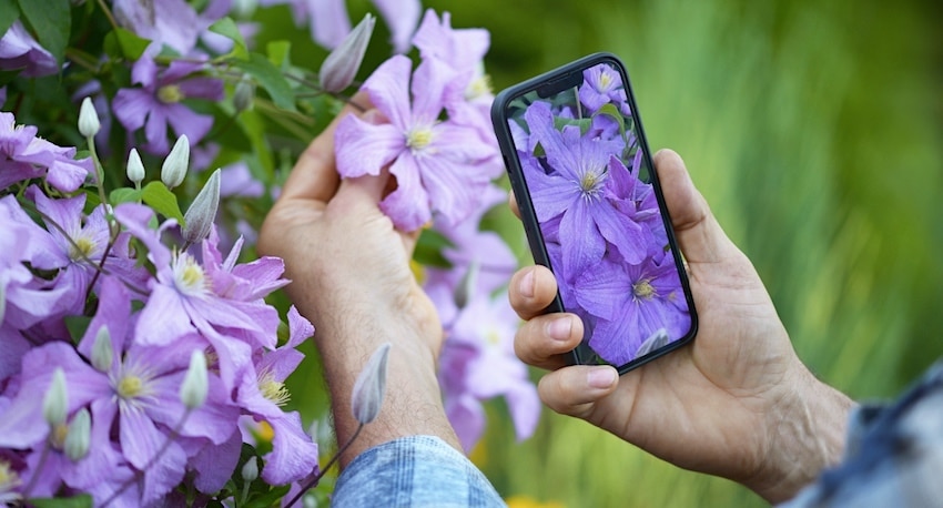 Gartenplanung per App bringt Vorteile für Hobbygärtner
