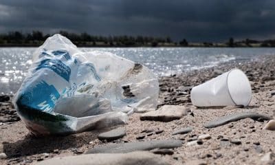 MÜLLweg! DE: Abfall und Dreck ganz einfach per Handy melden