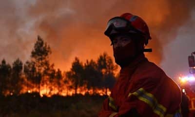NINA Warn-App: Waldbrand Warnungen in Echtzeit empfangen