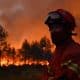NINA Warn-App: Waldbrand Warnungen in Echtzeit empfangen