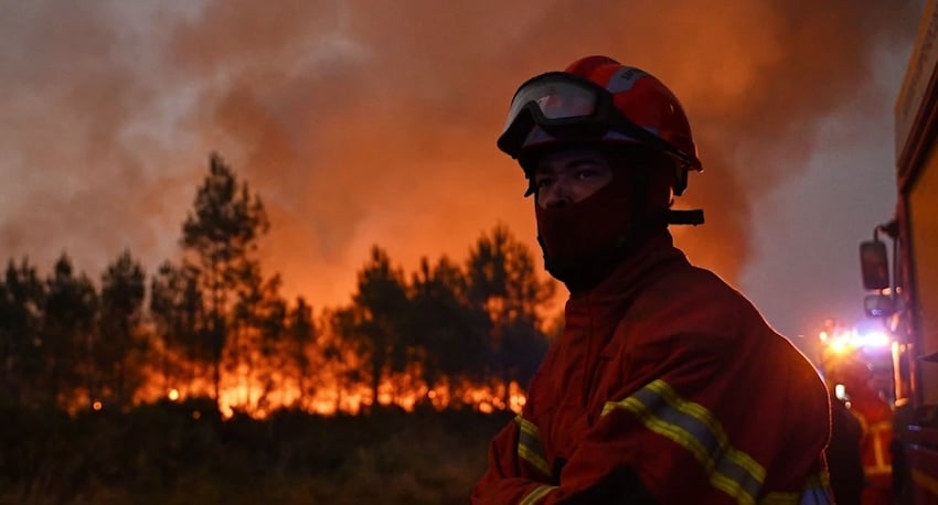 NINA Warn-App: Waldbrand Warnungen in Echtzeit empfangen