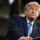 Trump spricht sich gegen Regulierung von KI aus